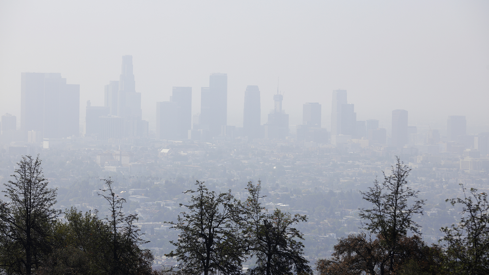 California Voters Support Immediate Near-Zero Solution to Improve Air Quality
